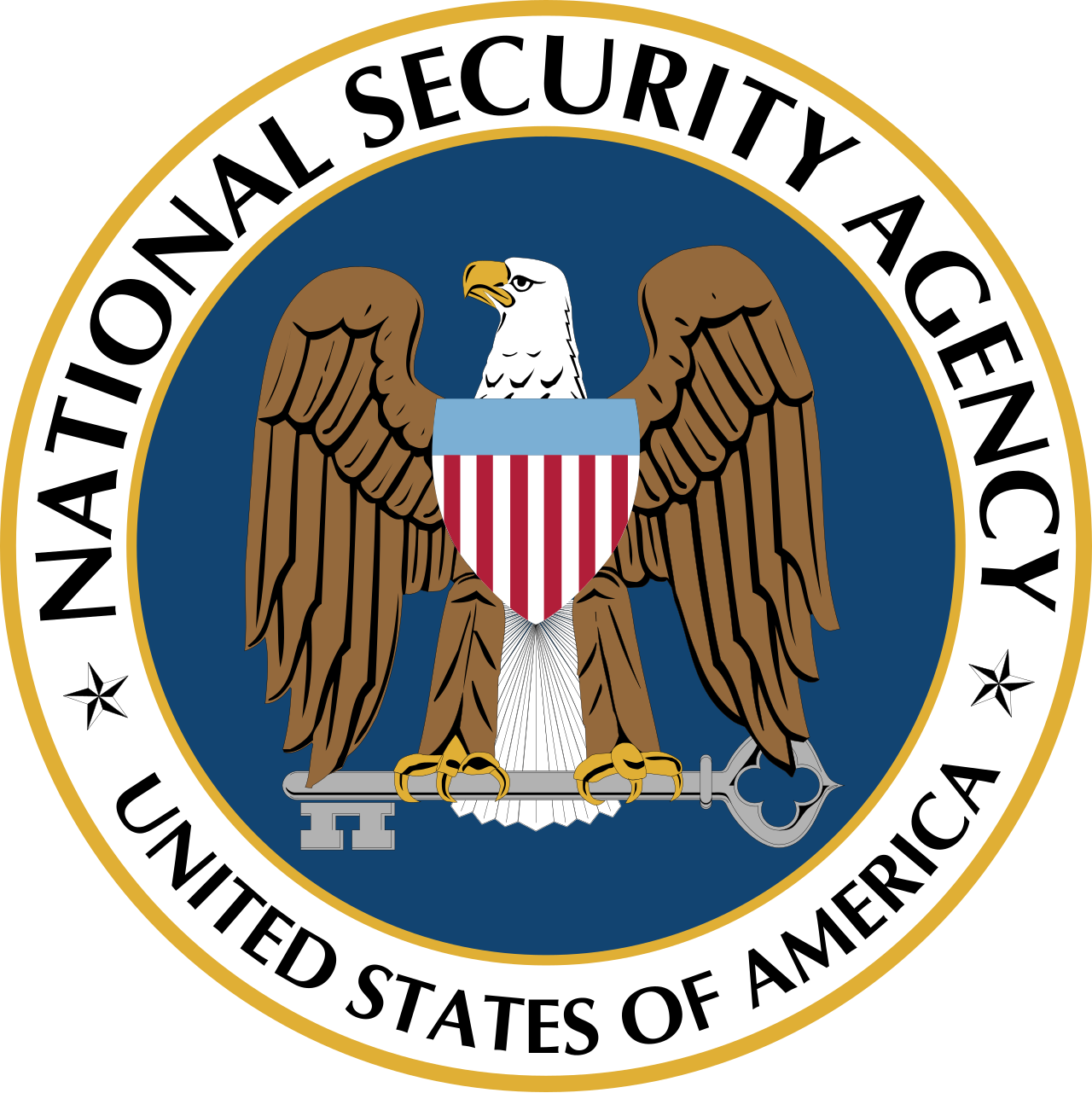 NSA logo