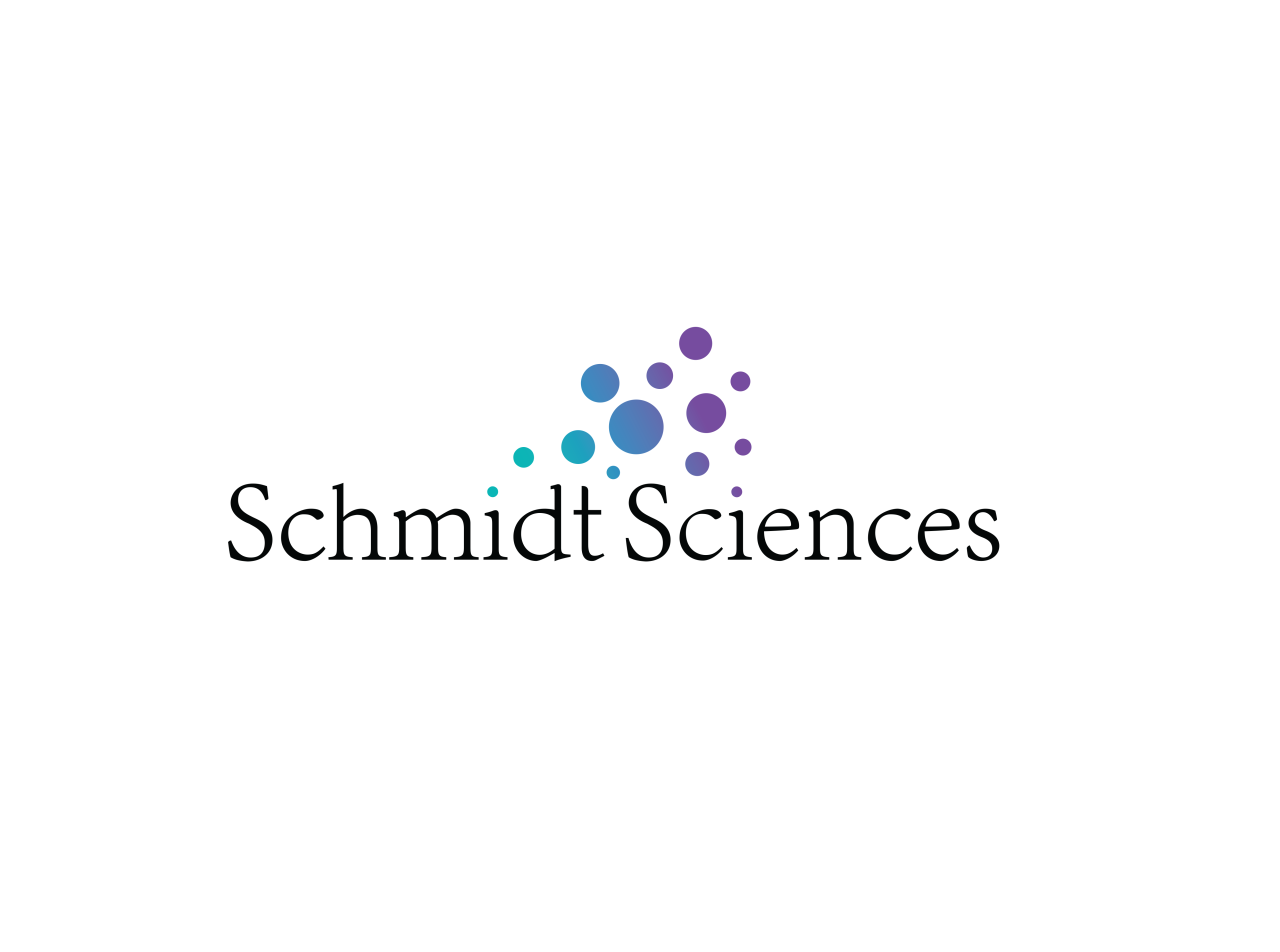 Schmidt Sciences logo
